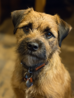 Graham