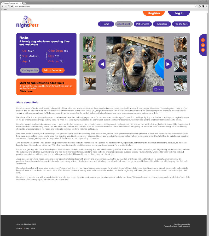 right pets example